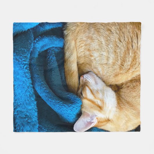 Oranje kat kromp op blauwe deken (Voorkant (Horizontaal))