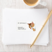 Oranje kat lage veelhoek etiket (Insitu)