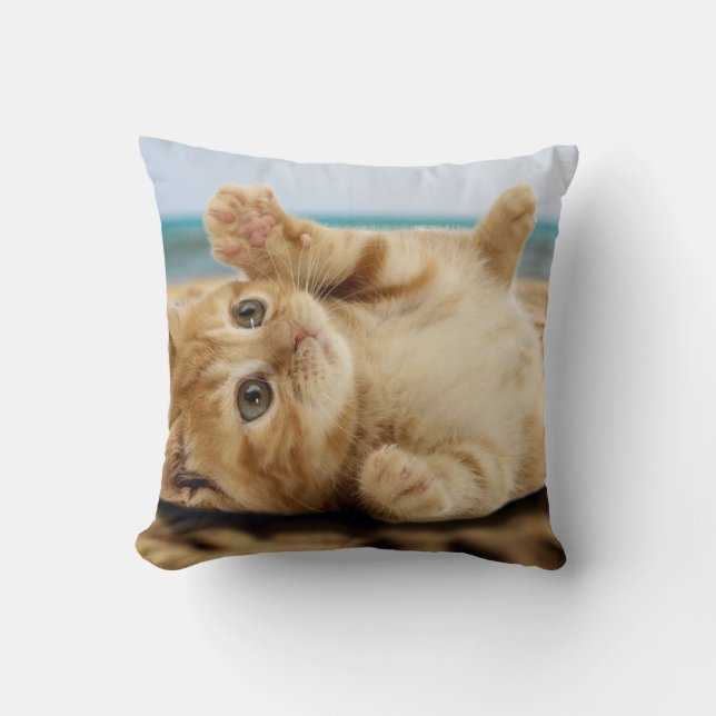 Oranje kat ligt op zand kussen (Voorkant)