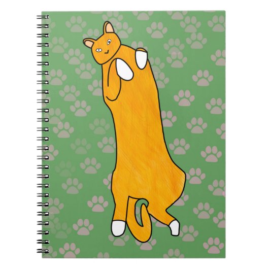 Oranje kat ligt op zijn rug notitieboek (Voorkant)