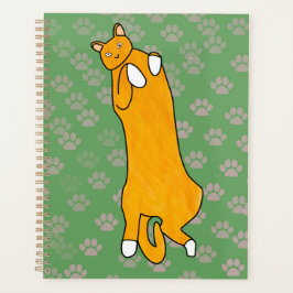 Oranje kat ligt op zijn rug planner