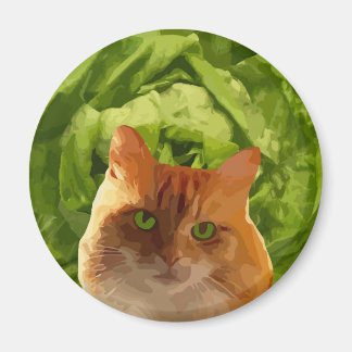 Oranje kat magneet