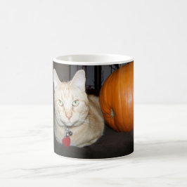 Oranje Kat Met Pompoen Koffiemok