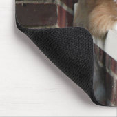 Oranje kat muismat (Hoek)