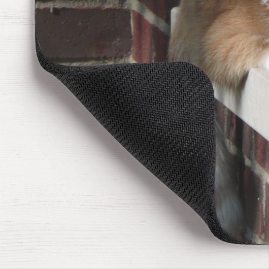 Oranje kat muismat (Hoek)