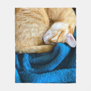 Oranje kat op blauwe deken