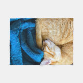 Oranje kat op deken (Voorkant (Horizontaal))