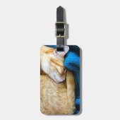Oranje kat op deken bagagelabel (Voorkant verticaal)