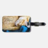 Oranje kat op deken bagagelabel (Achterkant horizontaal)