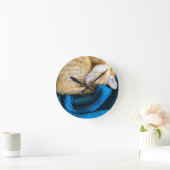 Oranje kat op deken ronde klok (Huis)