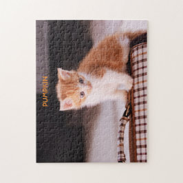 Oranje kat op een dierendrager / Oranje kitten Legpuzzel