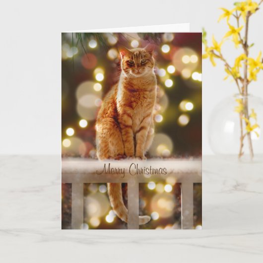 Oranje kat op een hek met kerstlampjes kaart (Gele Bloem)
