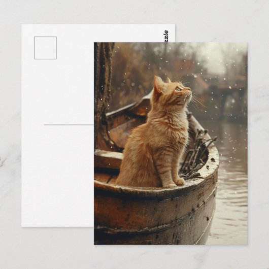 Oranje kat op een houten boot briefkaart (Voorkant / Achterkant)