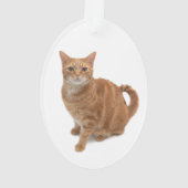 Oranje kat ornament (achterkant)