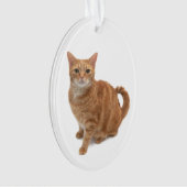 Oranje kat ornament (voorkant)