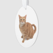 Oranje kat ornament (voorkant)