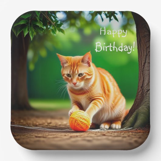 Oranje Kat Papieren Bordje (Voorkant)