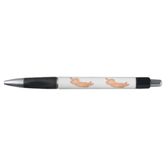 Oranje kat pen (Voorkant)
