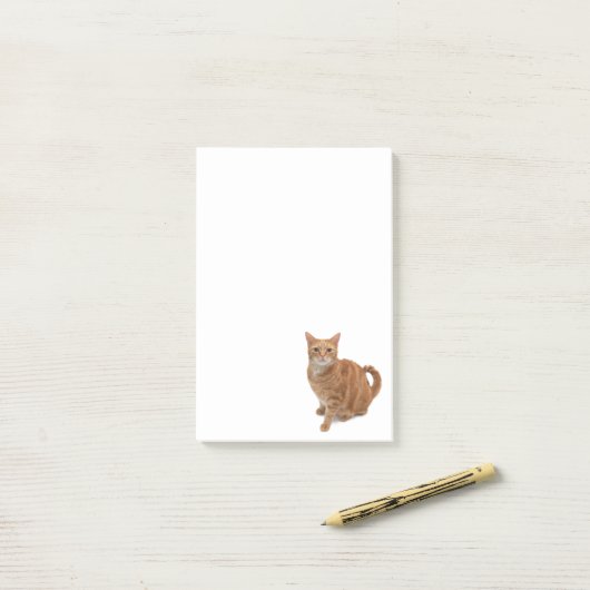 Oranje kat post-it® notes (Op bureau)
