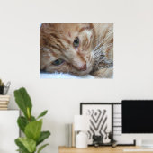 Oranje Kat Poster (Thuiskantoor)