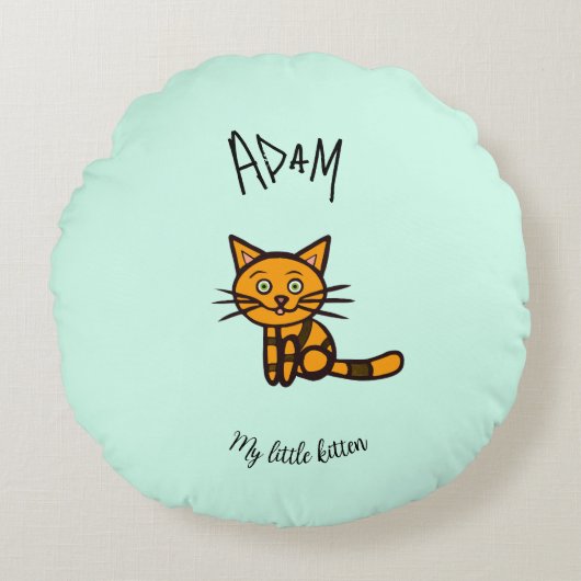 Oranje kat rond kussen (Voorkant)