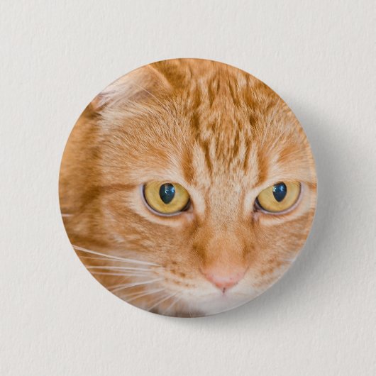 Oranje kat ronde button 5,7 cm (Voorkant)