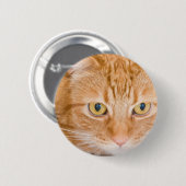 Oranje kat ronde button 5,7 cm (Voorkant /achterkant)