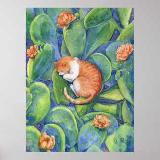 Oranje Kat Slapend Tussen Bloeiende Cactussen Fijn Poster