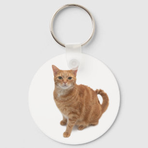 Oranje kat sleutelhanger