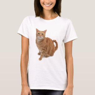 Oranje kat t-shirt