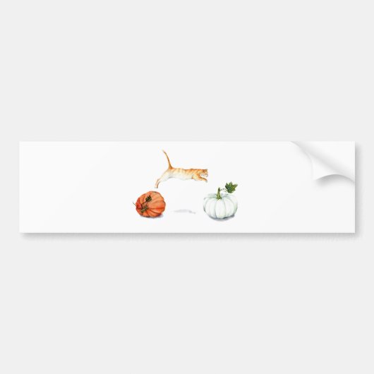 Oranje kat tussen pompoenen bumpersticker (Voorkant)