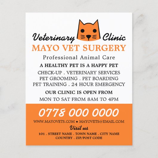 Oranje Kat, Veterinair Bureau Flyer (Voorkant)