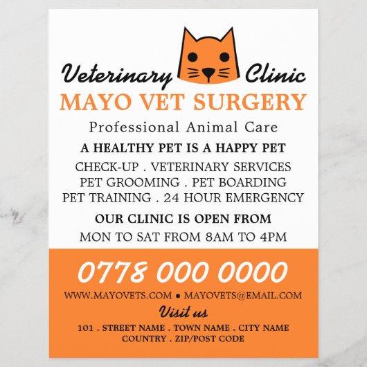 Oranje Kat, Veterinair Bureau Flyer (Voorkant)