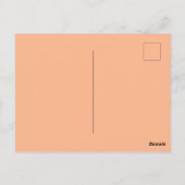 Oranje katachtigen briefkaart (Achterkant)