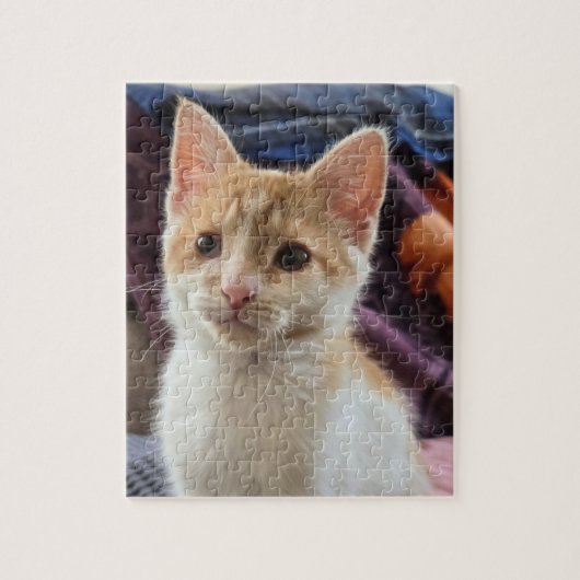 Oranje katje legpuzzel (Verticaal)