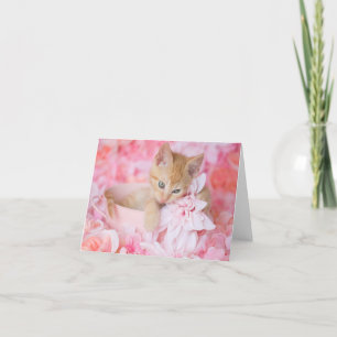 Oranje Katje Loki Roze Bloemen Lege Notecard Kaart