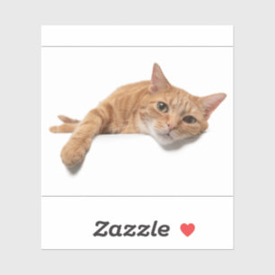 Oranje katje neerleggen sticker