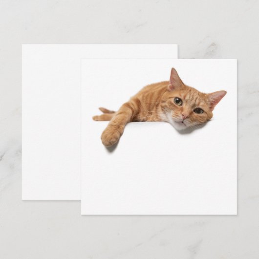 Oranje kattebakje omlaag aankondiging (Voorkant / Achterkant)