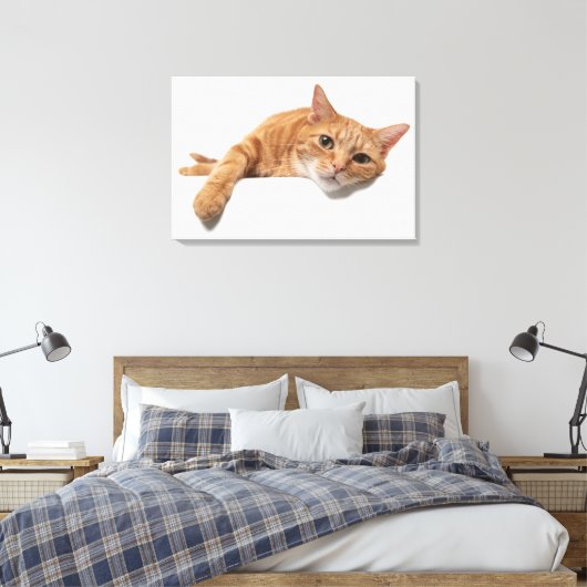 Oranje kattebakje omlaag canvas afdruk (Insitu (Slaapkamer))