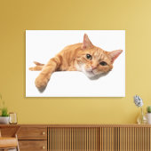 Oranje kattebakje omlaag canvas afdruk (Insitu (Woonkamer))