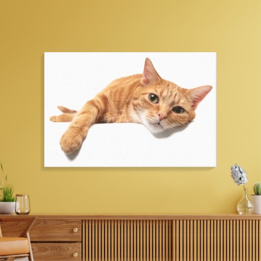 Oranje kattebakje omlaag canvas afdruk (Insitu (Woonkamer))