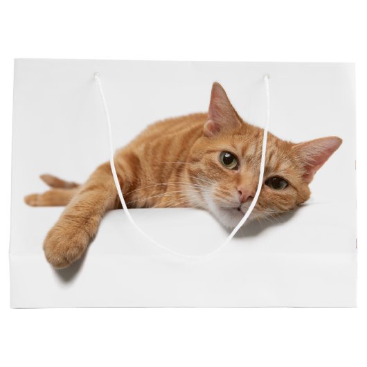 Oranje kattebakje omlaag groot cadeauzakje (Achterkant)