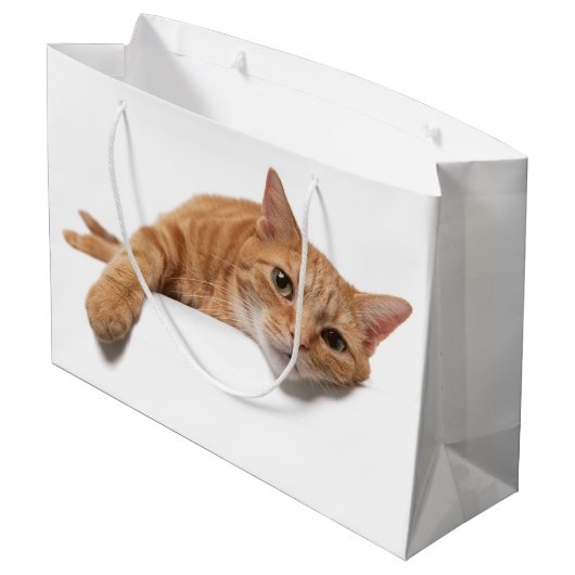 Oranje kattebakje omlaag groot cadeauzakje (Achterkant Gekanteld)