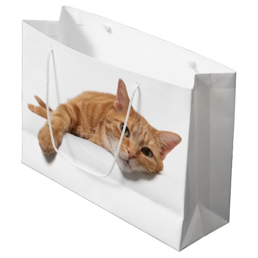 Oranje kattebakje omlaag groot cadeauzakje (Voorkant Gekanteld)