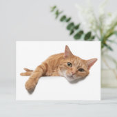 Oranje kattebakje omlaag kaart (Staand voorkant)