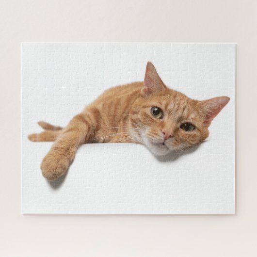 Oranje kattebakje omlaag legpuzzel (Horizontaal)