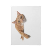 Oranje kattebakje omlaag notitieblok (Linkerzijde)