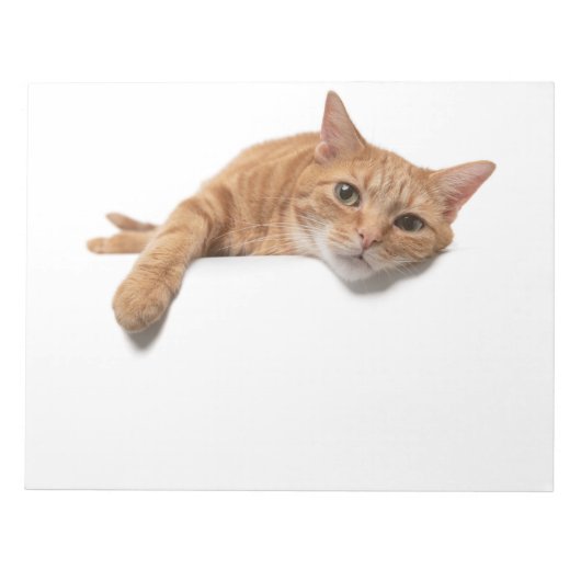 Oranje kattebakje omlaag notitieblok (Voorkant)