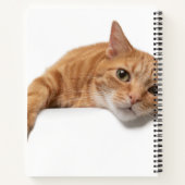 Oranje kattebakje omlaag notitieboek (Achterkant)