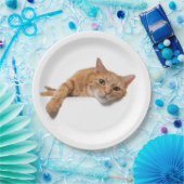 Oranje kattebakje omlaag papieren bordje (Feest)